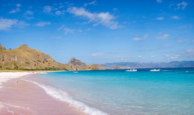 Destinasi Wisata Labuan Bajo pink beach